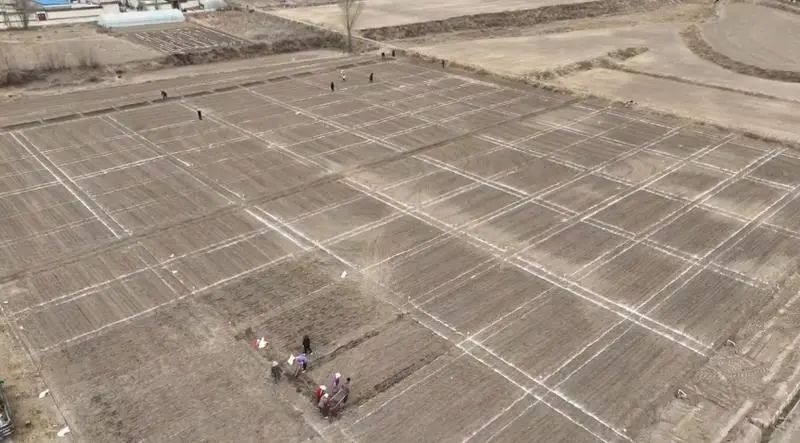 富硒农产品一张图多少钱(富硒农产品一张图多少钱)-硒宝网