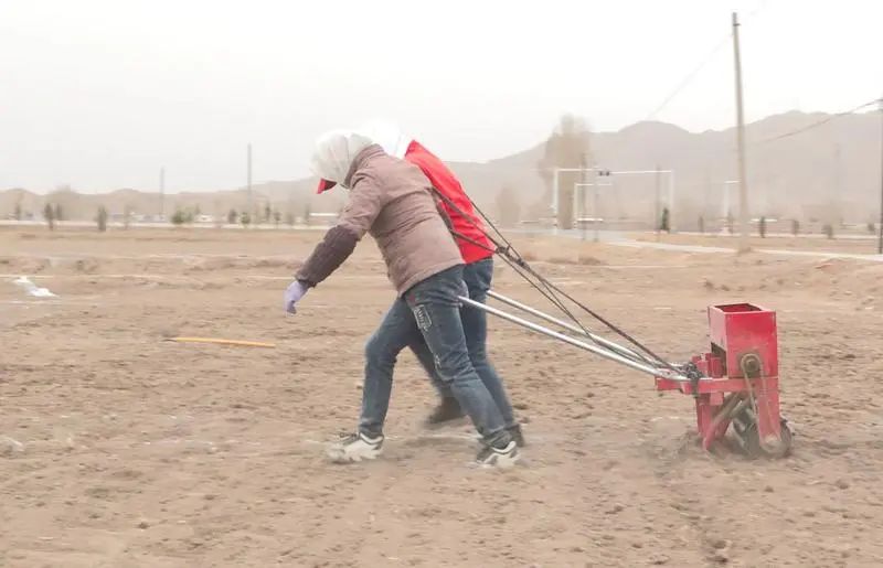 富硒农产品一张图多少钱(富硒农产品一张图多少钱)-硒宝网