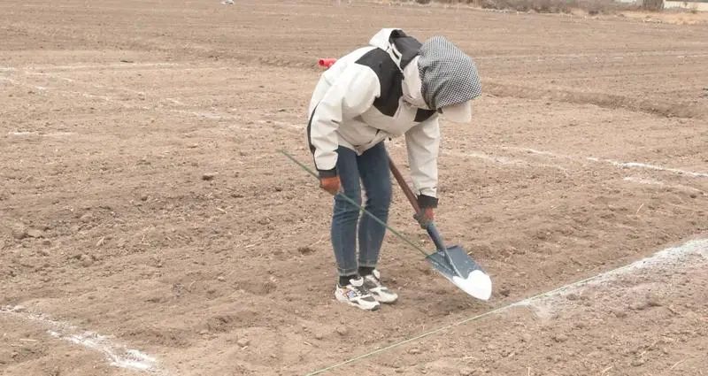 富硒农产品一张图多少钱(富硒农产品一张图多少钱)-硒宝网