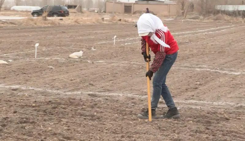 富硒农产品一张图多少钱(富硒农产品一张图多少钱)-硒宝网