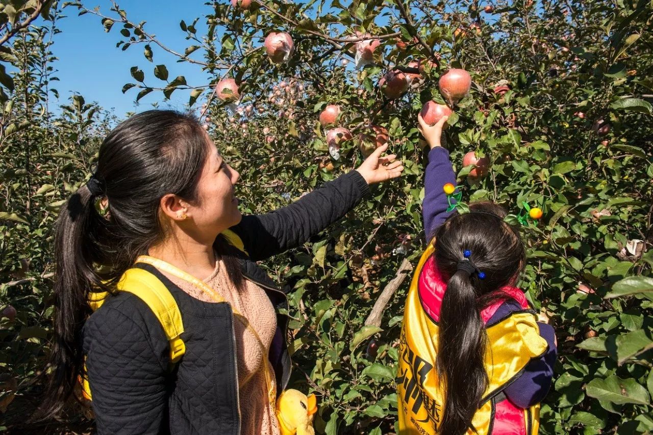 邵原镇第一节富硒农产品（富硒生态农业）-硒宝网