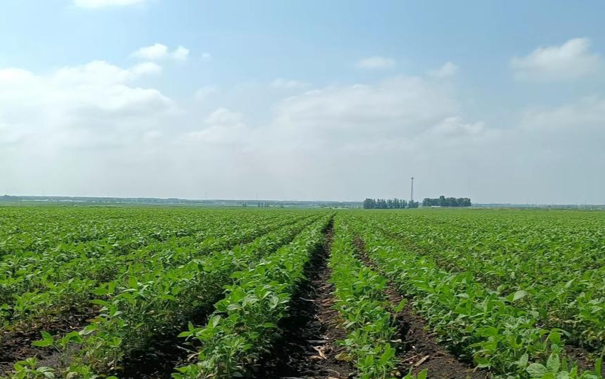 黑龙江省海伦市富硒产品(黑龙江省海伦市富硒土地)-硒宝网