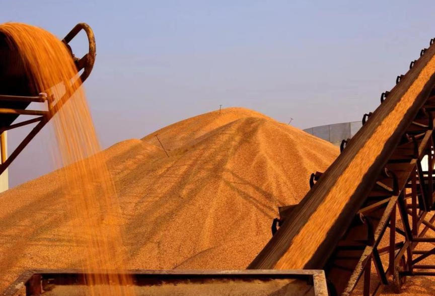 黑龙江省海伦市富硒产品(黑龙江省海伦市富硒土地)-硒宝网