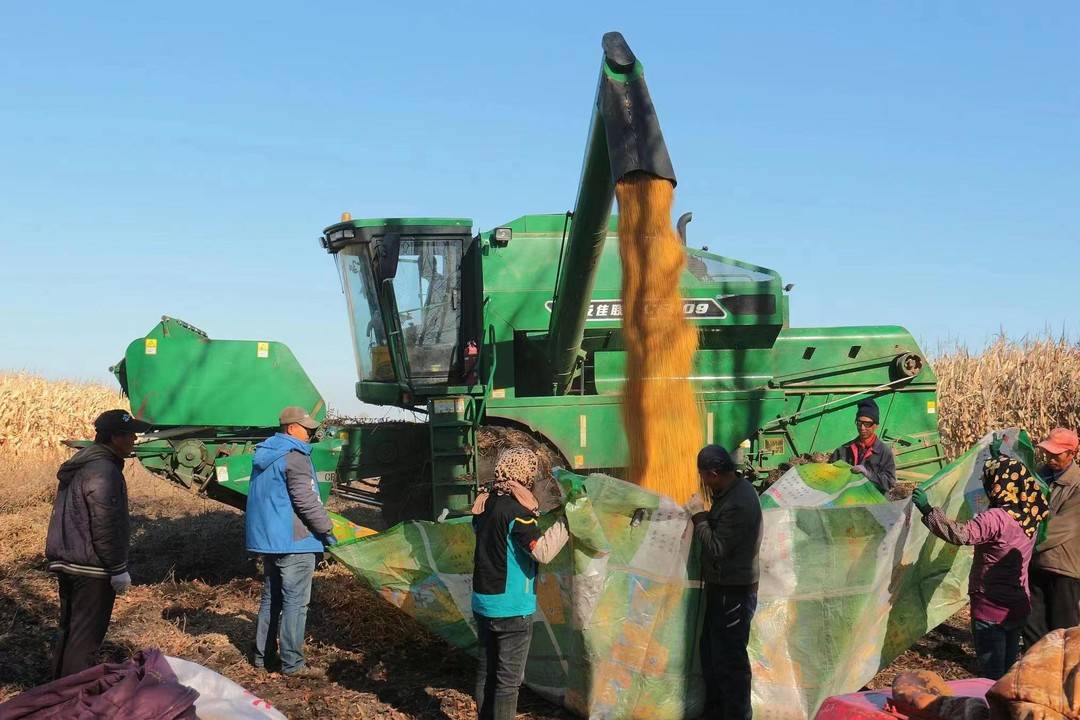 黑龙江省海伦市富硒产品(黑龙江省海伦市富硒土地)-硒宝网