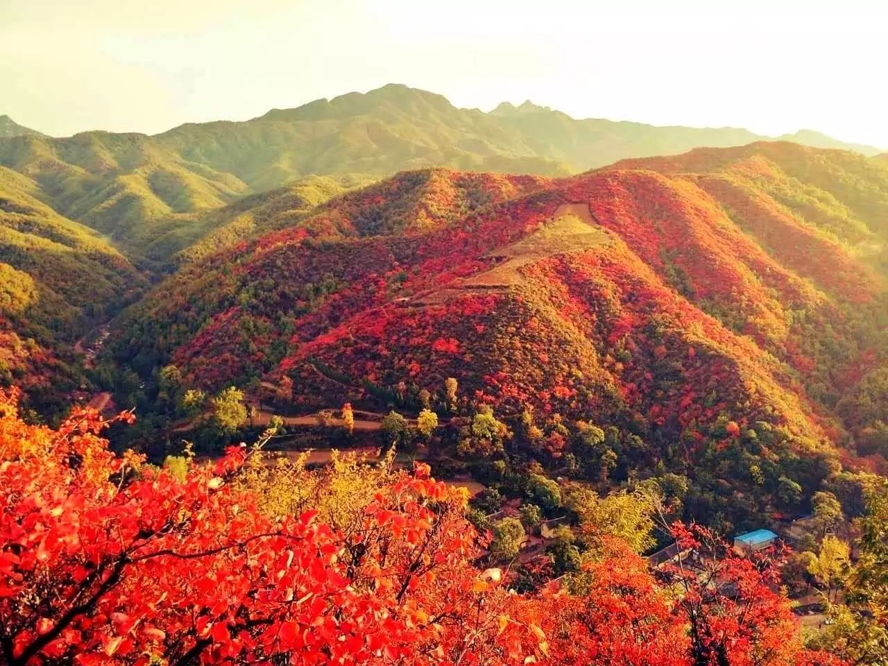 邵原镇第一节富硒农产品（富硒基地）-硒宝网