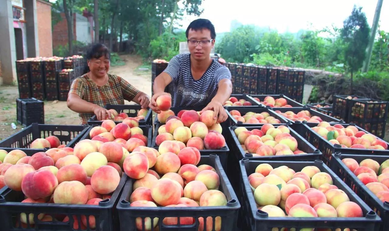 邵原镇第一节富硒农产品（富硒基地）-硒宝网
