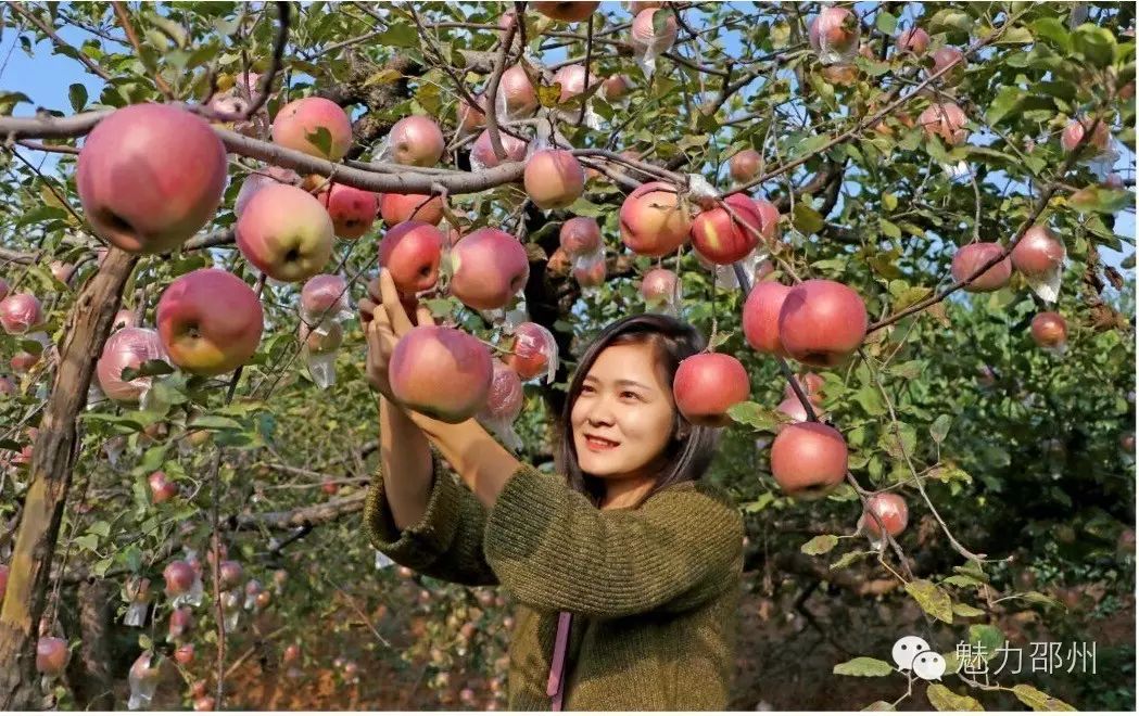 邵原镇第一节富硒农产品（富硒基地）-硒宝网