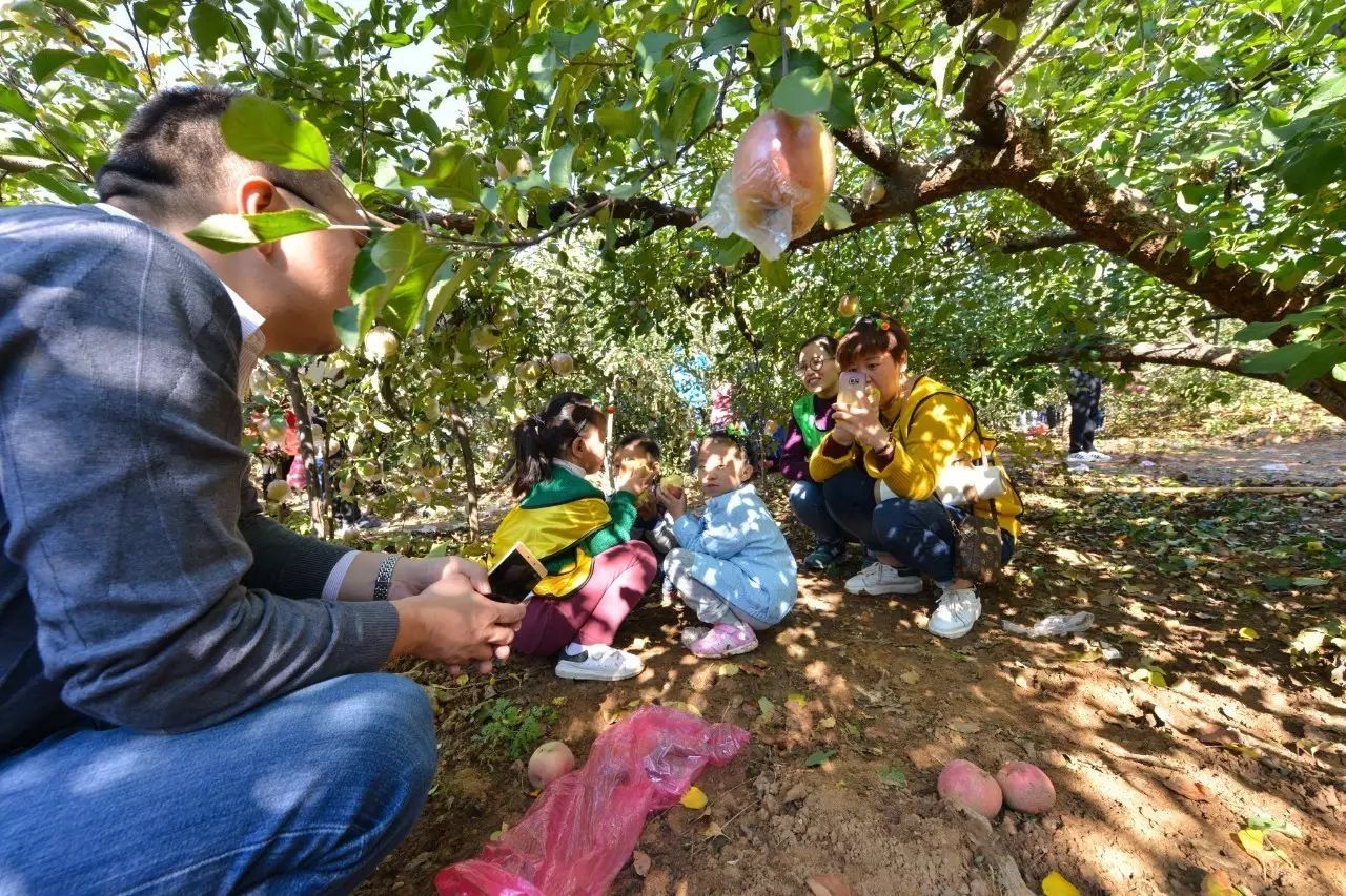 邵原镇第一节富硒农产品(富硒农业)-硒宝网