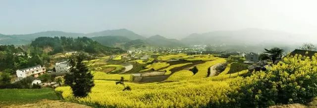 陕南富硒茶的功效与作用(富硒茶的功效)-硒宝网