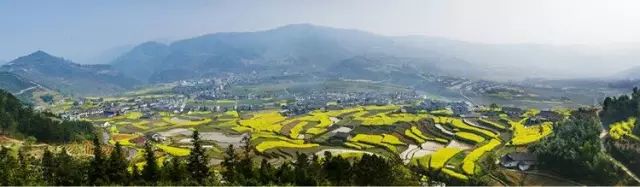 陕南富硒茶的功效与作用(富硒茶的功效)-硒宝网