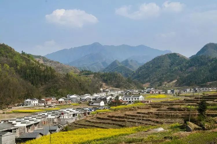 陕南富硒茶的功效与作用(富硒茶的功效)-硒宝网