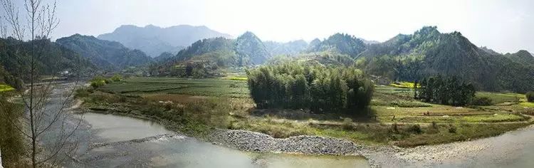 陕南富硒茶的功效与作用(富硒茶的功效)-硒宝网