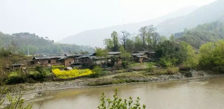 陕南富硒茶的功效与作用(富硒茶的功效)-硒宝网