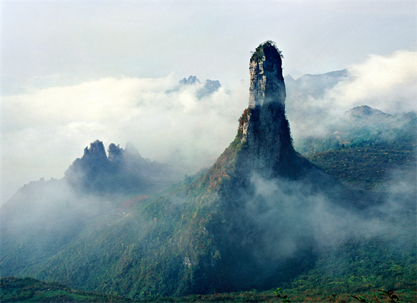 恩施鹤峰下坪富硒茶简介(恩施鹤峰茶叶分几种)-硒宝网