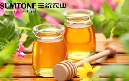 200ml放多少富硒茶(富硒茶用多少度的水冲泡)-硒宝网