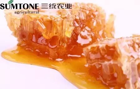 200ml放多少富硒茶(富硒茶用多少度的水冲泡)-硒宝网