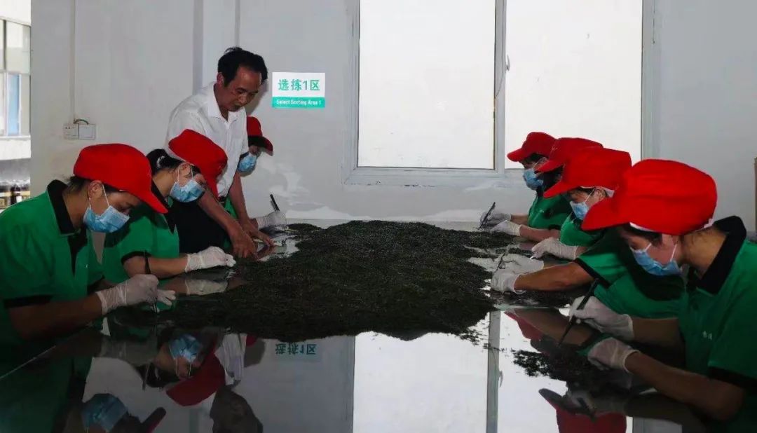 陕南富硒茶的功效与作用(陕西富硒茶多少钱一斤)-硒宝网