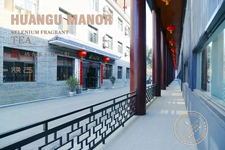 焕古茶业紫阳富硒茶礼盒(紫阳富硒茶文化)-硒宝网