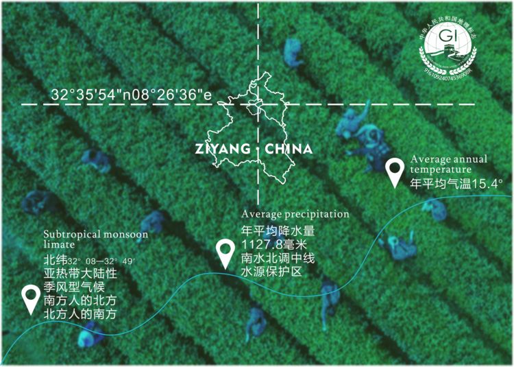 焕古茶业紫阳富硒茶礼盒(紫阳富硒茶文化)-硒宝网