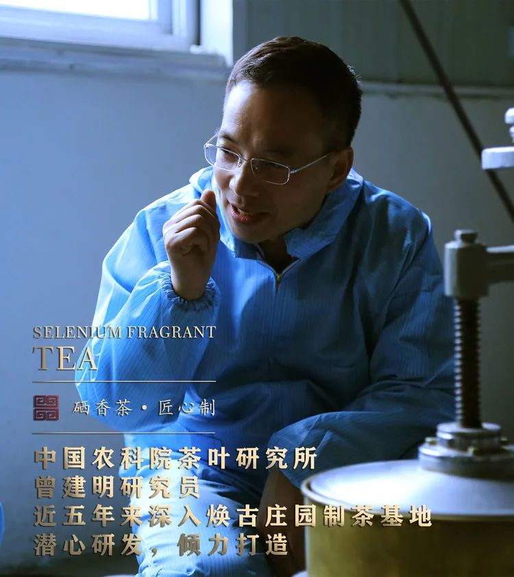 焕古茶业紫阳富硒茶礼盒(紫阳富硒茶文化)-硒宝网