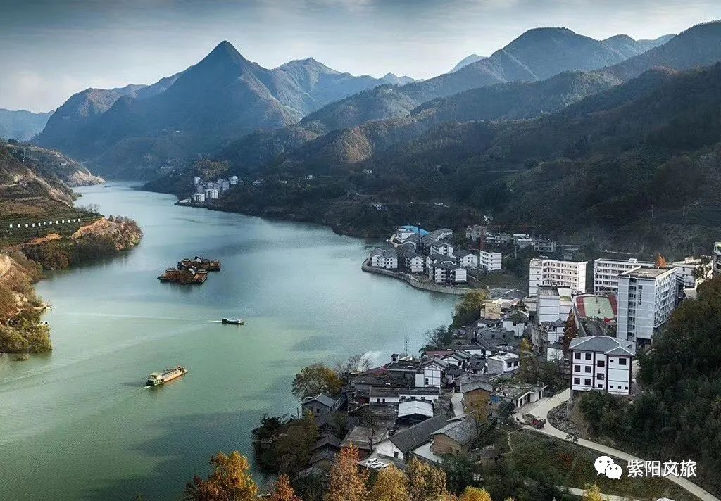 陕南富硒茶的功效与作用(陕西富硒茶的功效与作用)-硒宝网