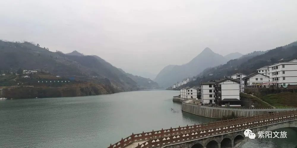 陕南富硒茶的功效与作用(陕西富硒茶的功效与作用)-硒宝网