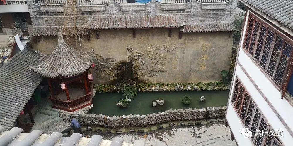 陕南富硒茶的功效与作用(陕西富硒茶的功效与作用)-硒宝网