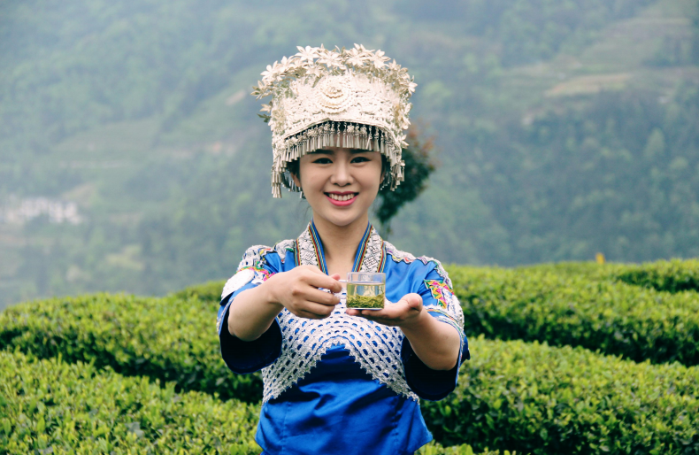 受欢迎的富硒茶玉露公司（茶叶玉露）-硒宝网