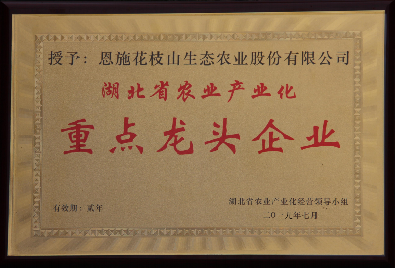 受欢迎的富硒茶玉露公司（茶叶玉露）-硒宝网