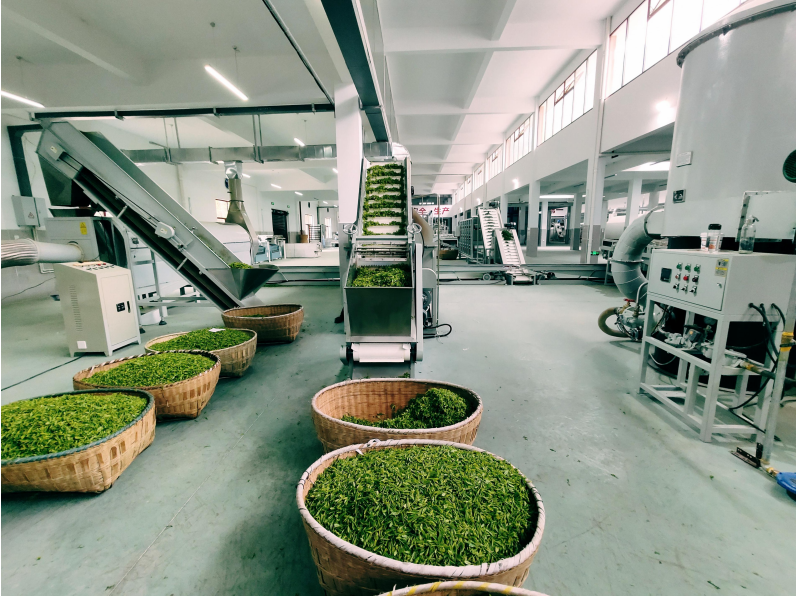 受欢迎的富硒茶玉露公司（茶叶玉露）-硒宝网