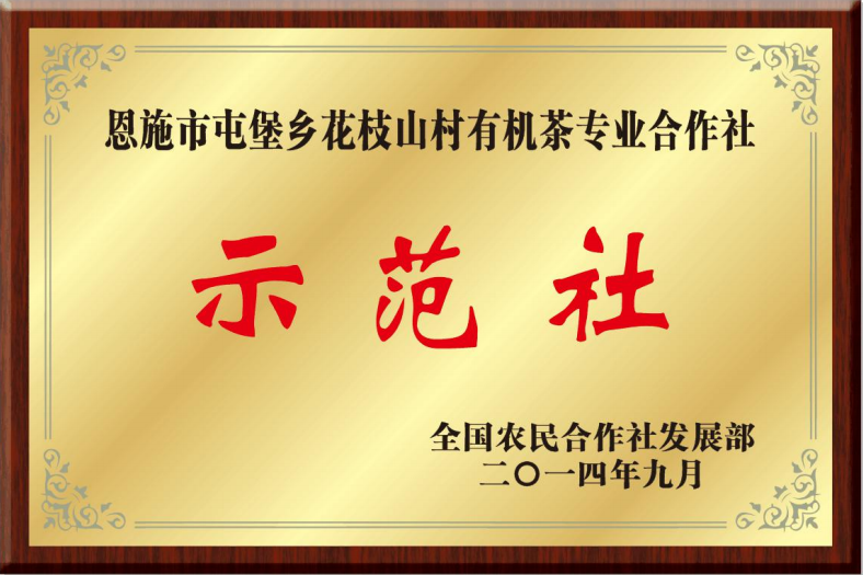 受欢迎的富硒茶玉露公司（茶叶玉露）-硒宝网