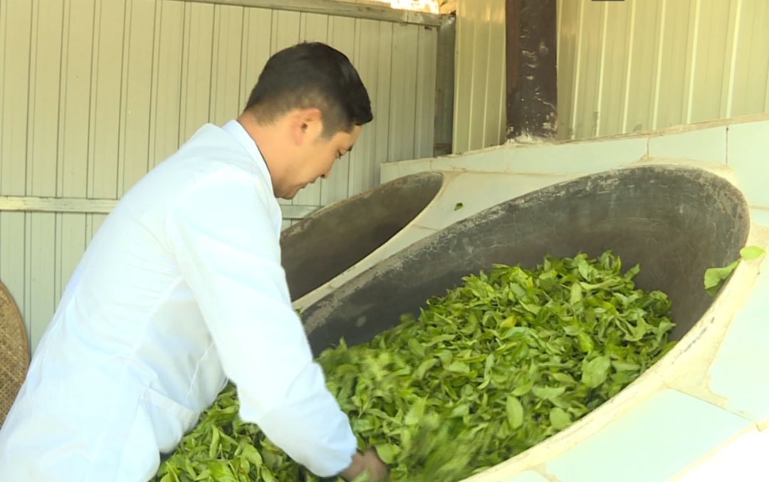 卖得比较好的富硒茶价格(富硒茶叶价格)-硒宝网