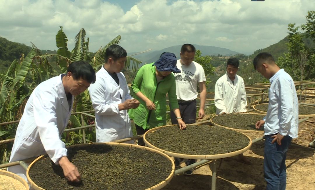 卖得比较好的富硒茶价格(富硒茶叶价格)-硒宝网