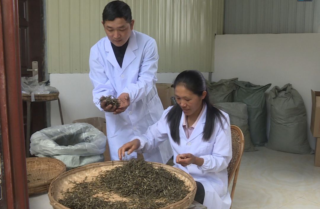 卖得比较好的富硒茶价格(富硒茶叶价格)-硒宝网