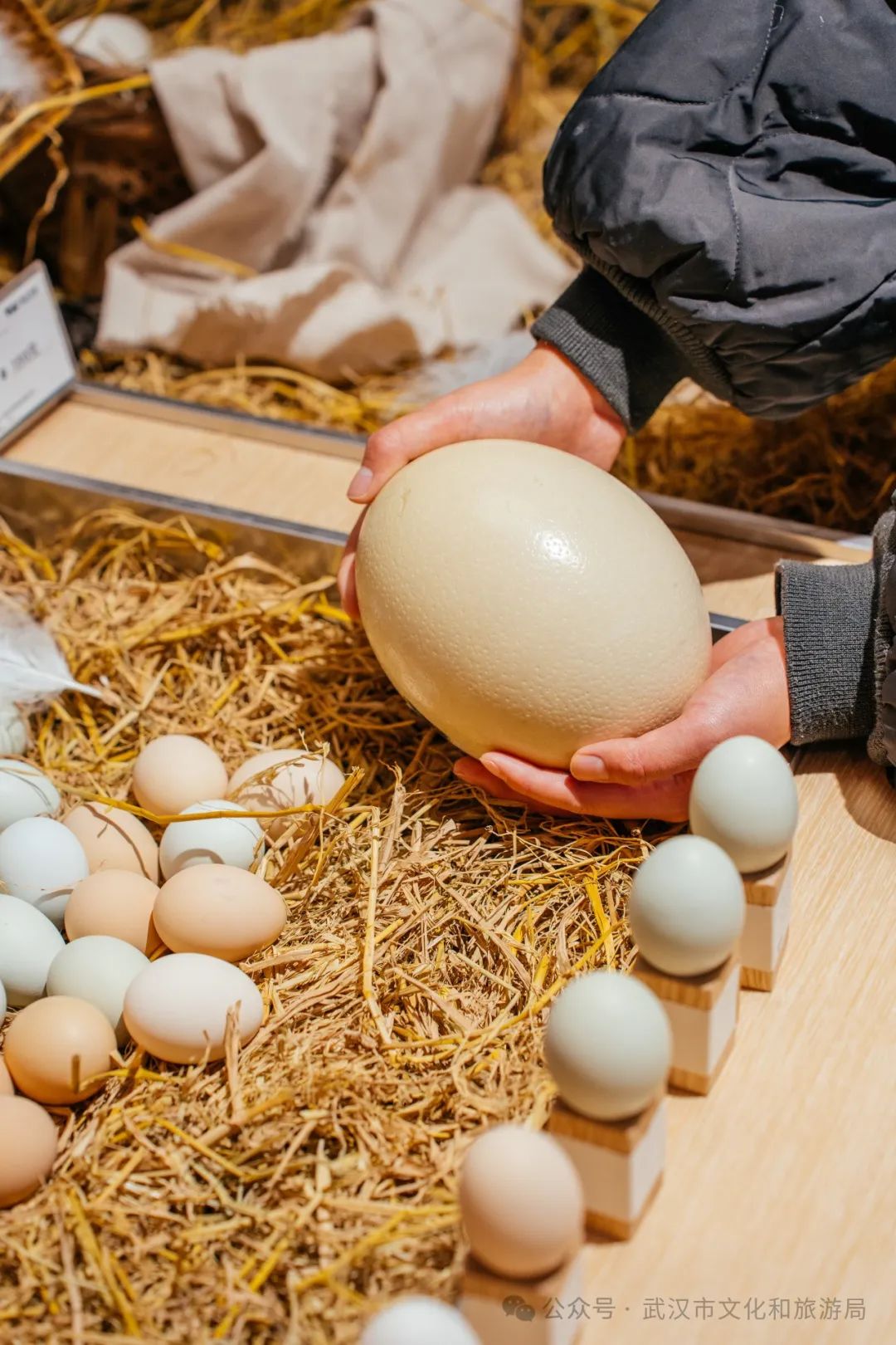 江夏区醇香的恩施富硒茶(恩施富硒茶十大排名)-硒宝网