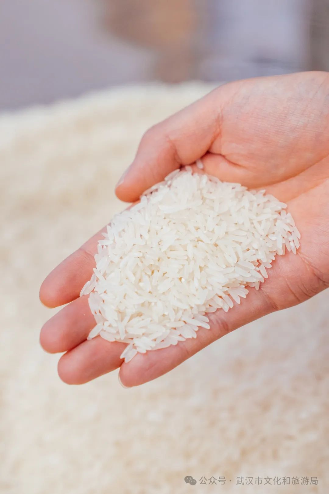 江夏区醇香的恩施富硒茶(恩施富硒茶十大排名)-硒宝网