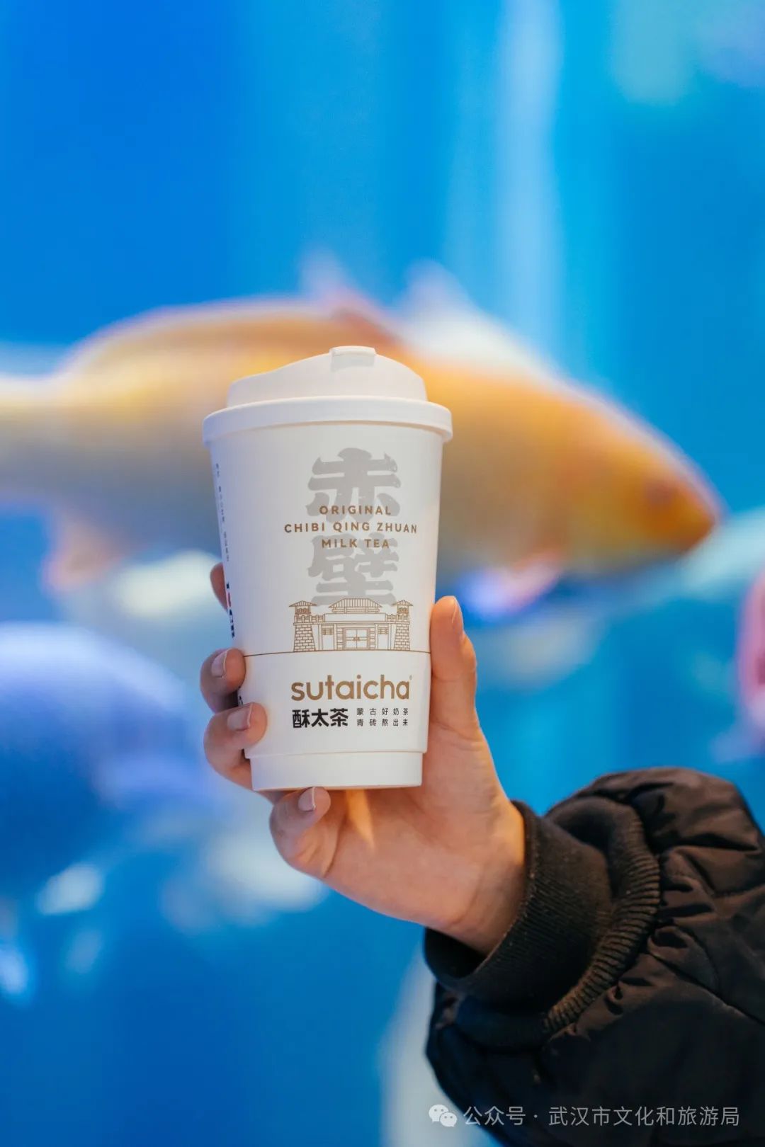 江夏区醇香的恩施富硒茶(恩施富硒茶十大排名)-硒宝网