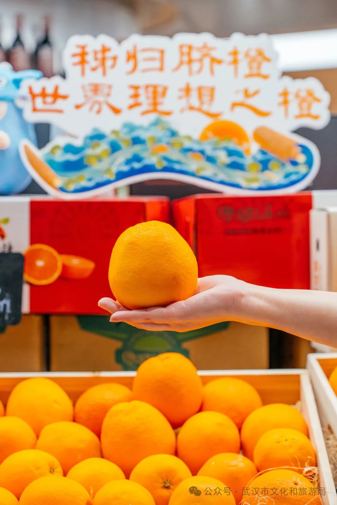 江夏区醇香的恩施富硒茶(恩施富硒茶十大排名)-硒宝网