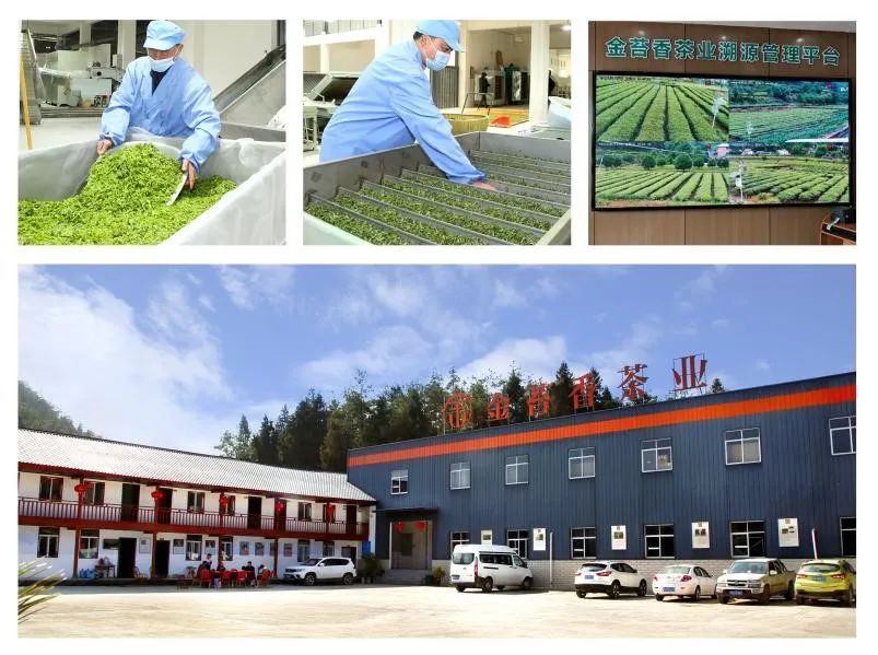 浙江恩施富硒藤茶供应站（湖南恩施富硒茶的功效）-硒宝网