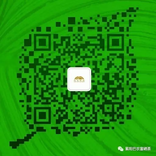 卖得比较好的富硒茶价格(富硒茶哪个牌子好)-硒宝网