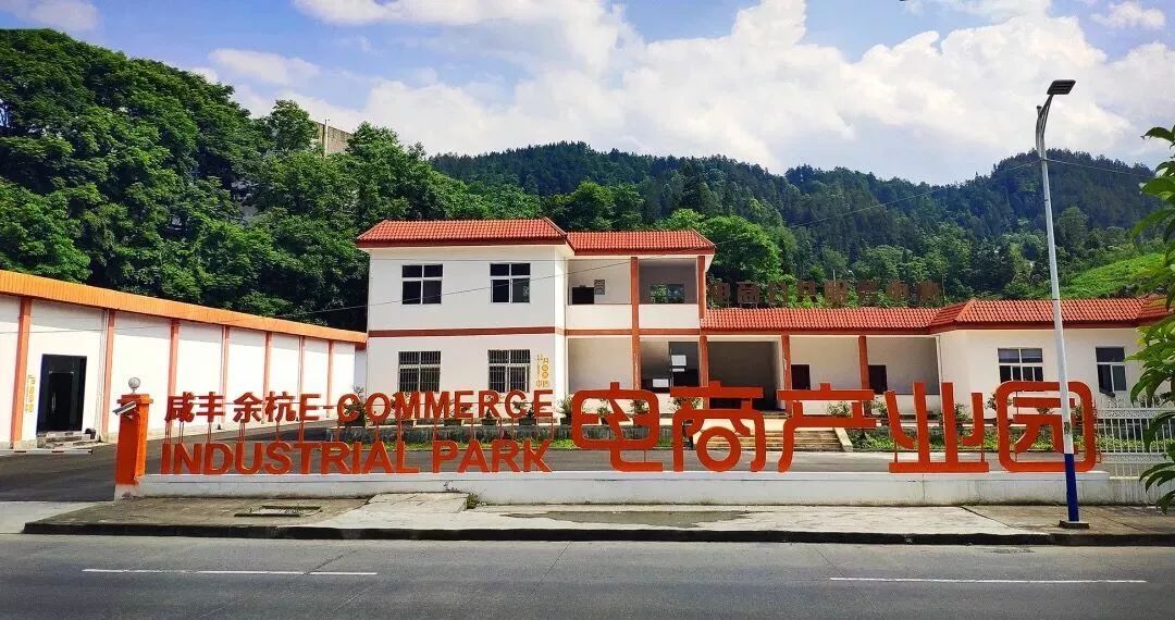 浙江恩施富硒藤茶供应站(恩施富硒藤茶价格)-硒宝网