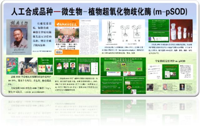 什么地方生产高山富硒茶（高山茶地方生产富硒茶吗）-硒宝网