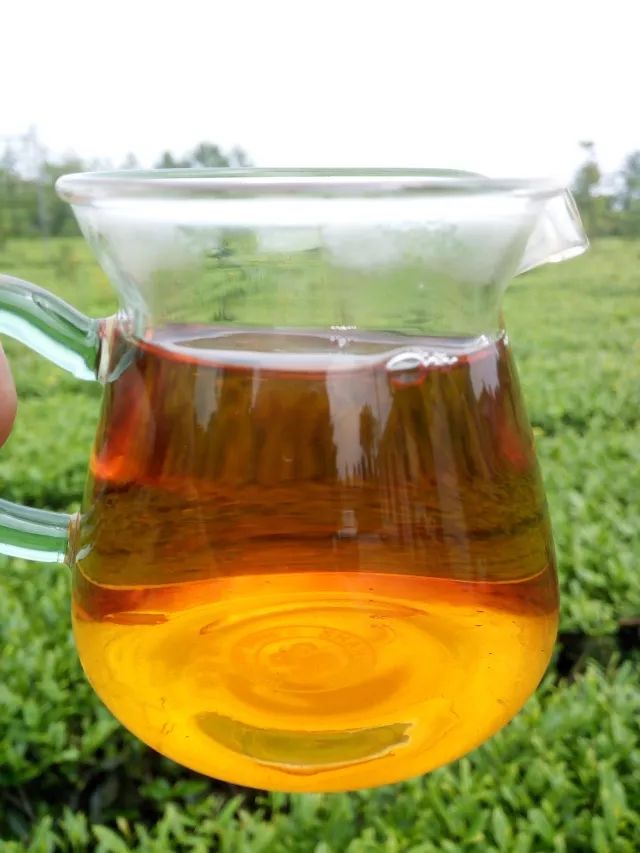 什么地方生产高山富硒茶（高山茶地方生产富硒茶吗）-硒宝网