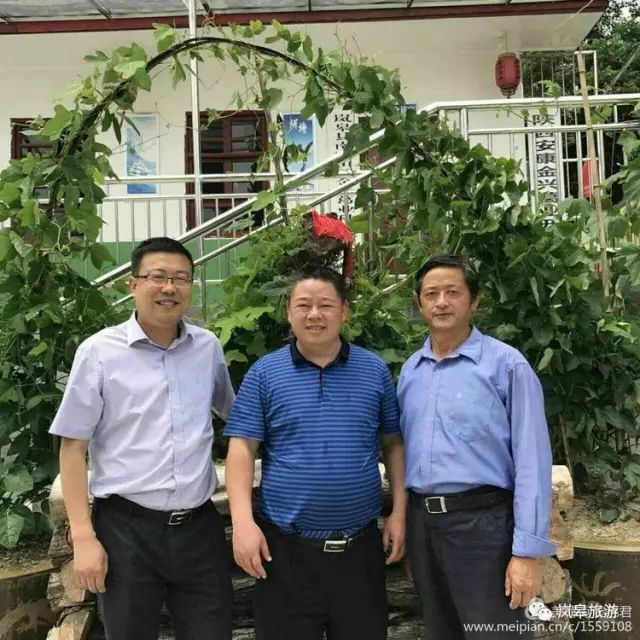 什么地方生产高山富硒茶(高山富硒茶属于什么茶)-硒宝网