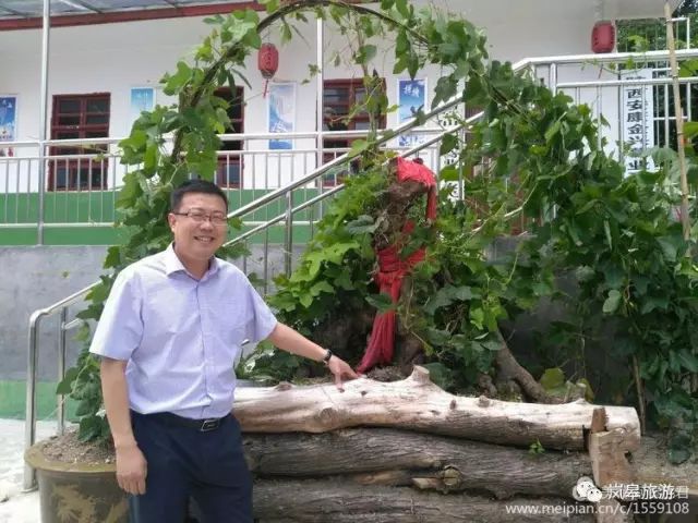 什么地方生产高山富硒茶(高山富硒茶属于什么茶)-硒宝网