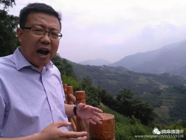 什么地方生产高山富硒茶(高山富硒茶属于什么茶)-硒宝网