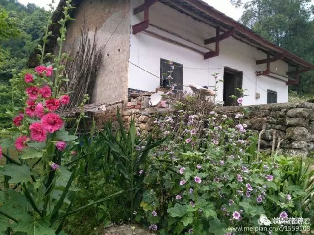 什么地方生产高山富硒茶(高山富硒茶属于什么茶)-硒宝网