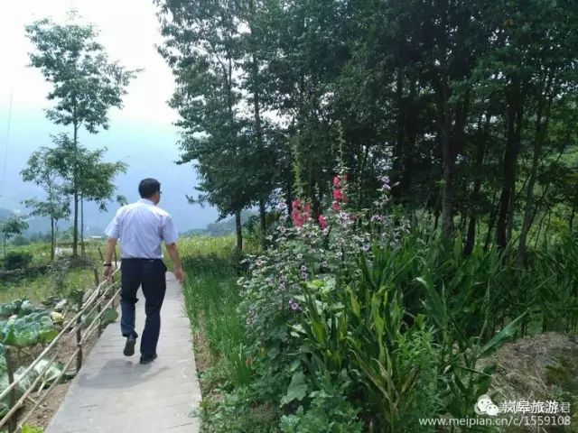 什么地方生产高山富硒茶(高山富硒茶属于什么茶)-硒宝网