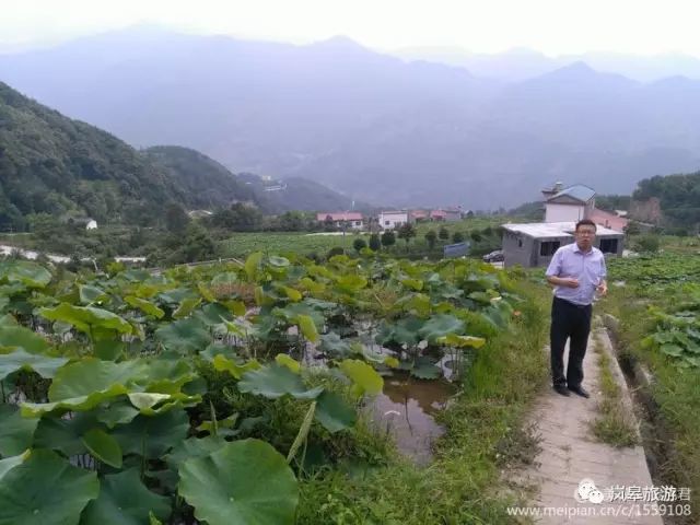 什么地方生产高山富硒茶(高山富硒茶属于什么茶)-硒宝网