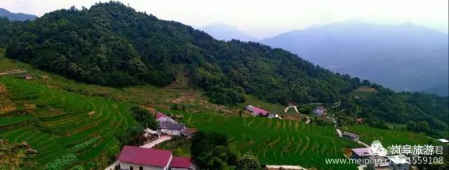 什么地方生产高山富硒茶(高山富硒茶属于什么茶)-硒宝网